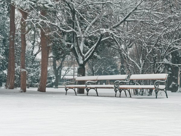 Régime Chrono-nutrition : Mangez selon votre horloge biologique pour une minceur durable