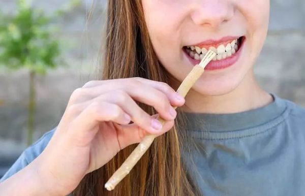 Siwak naturel : l'outil incontournable pour une bouche fraîche